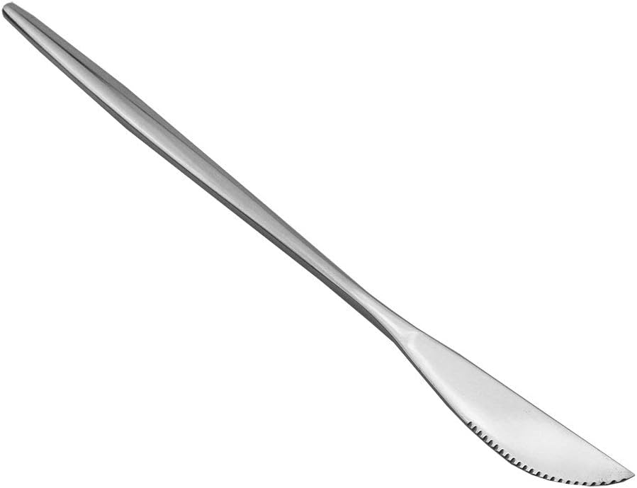 JASHII 20-Piece Stainless Steel Satin Finish Flatware Set, Shiny Silver Silverware Set, Kitchen Utensil Set, Mirror Polished Tableware Cutlery Set for Home and Restaurant - Silver