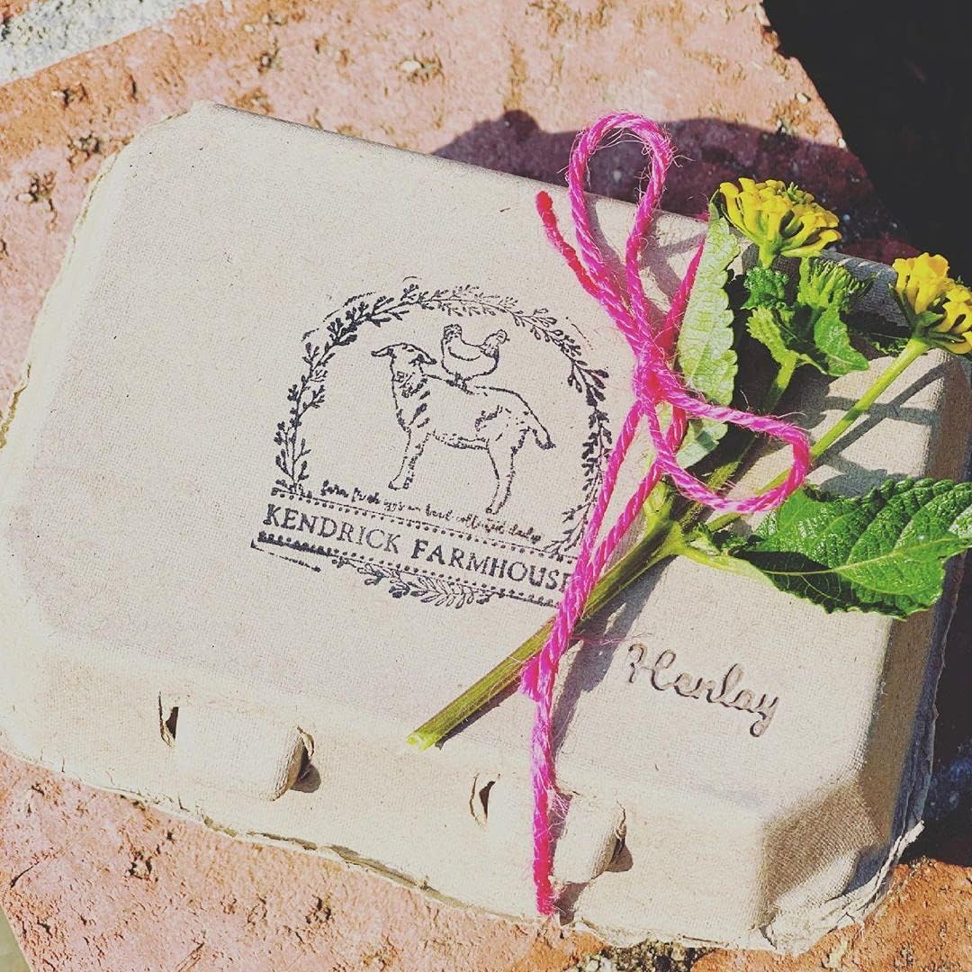 Half Dozen Blank Egg Cartons – 6-Pack Flat Top Half-Dozen Holder, Recyclable Pulp, Ideal for Farm-Fresh Eggs, DIY Custom Labeling, Eco-Friendly Storage - 20 Pack