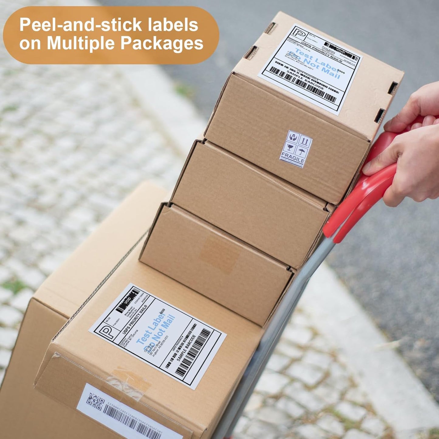 FungLam 10 Rolls 4"x6" Direct Thermal Printer Label, Shipping Labels Compatible with Zebra, Rollo and Most Thermal Printer, Perforated Postage Label Paper, 250 Labels/Roll