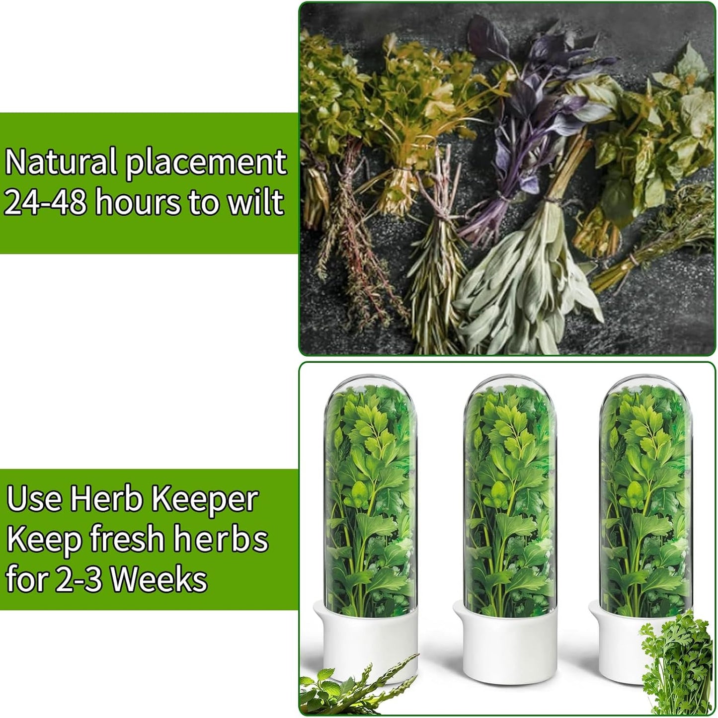 Herb Saver for Refrigerator, Herb Saver Pod Cilantro Containers for Refrigerator, Fresh Herb Keeper for Cilantro, Parsley, Asparagus, Mint, Keeps Greens Vegetables for 2-3 Weeks (Herb Keeper 3Pack)