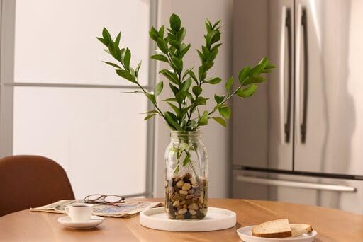 Ball Wide Mouth Glass Mason Jars with Lids and Bands, Used for Canning, Pickling, Juice, Jam, Jelly, Half Gallon Size 64 Ounce (Pack of 2)