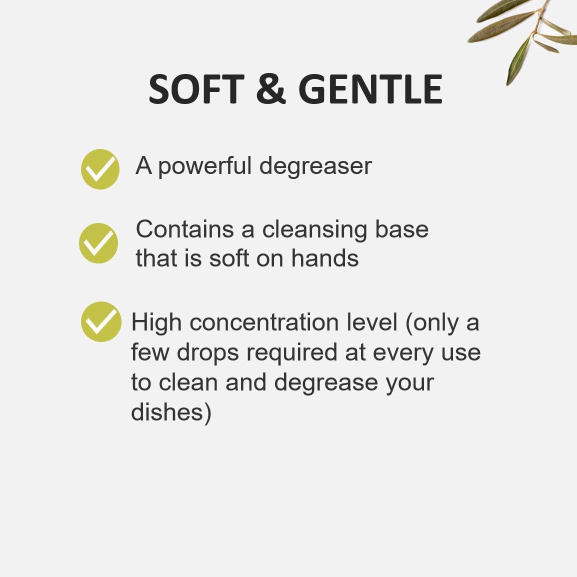 Coriander and Olive Cucina Dish Detergent 500ML