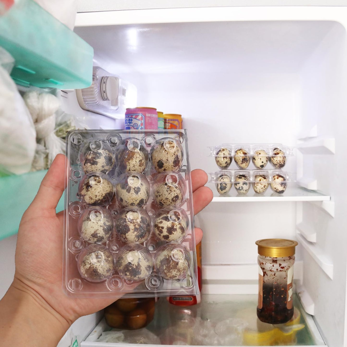 220 Pack Quail Egg Cartons, Clear Plastic Quail Egg Trays, Holds up to 12 Quail Eggs Securely - Your Ultimate Small Eggs Carton Holders for Bulk Storage and Display