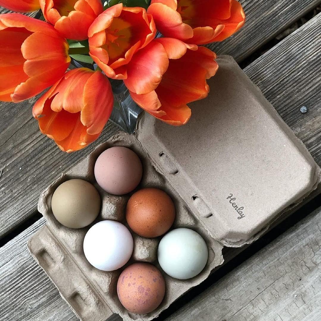 Half Dozen Blank Egg Cartons – 6-Pack Flat Top Half-Dozen Holder, Recyclable Pulp, Ideal for Farm-Fresh Eggs, DIY Custom Labeling, Eco-Friendly Storage - 100 Pack