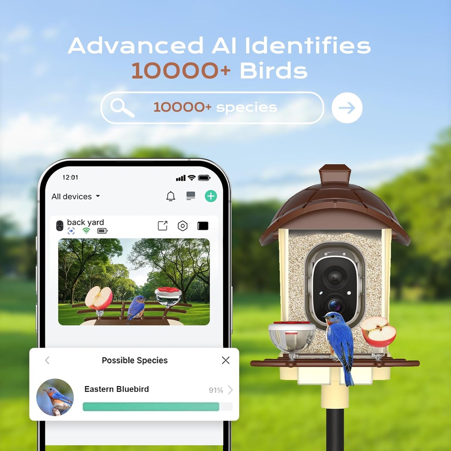 Bird Feeder with Camera, 2K HD Live Video, Smart Bird Cam Solar Powered with AI Birds Species Identification, Auto Capture Video, Instant Arrival Alerts, Best Gifts for Mom Dad
