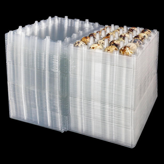 120 Pack Quail Egg Cartons - Clear Plastic Trays Hold 24 Eggs Securely, Ultimate Small Egg Holders for Bulk Storage and Display