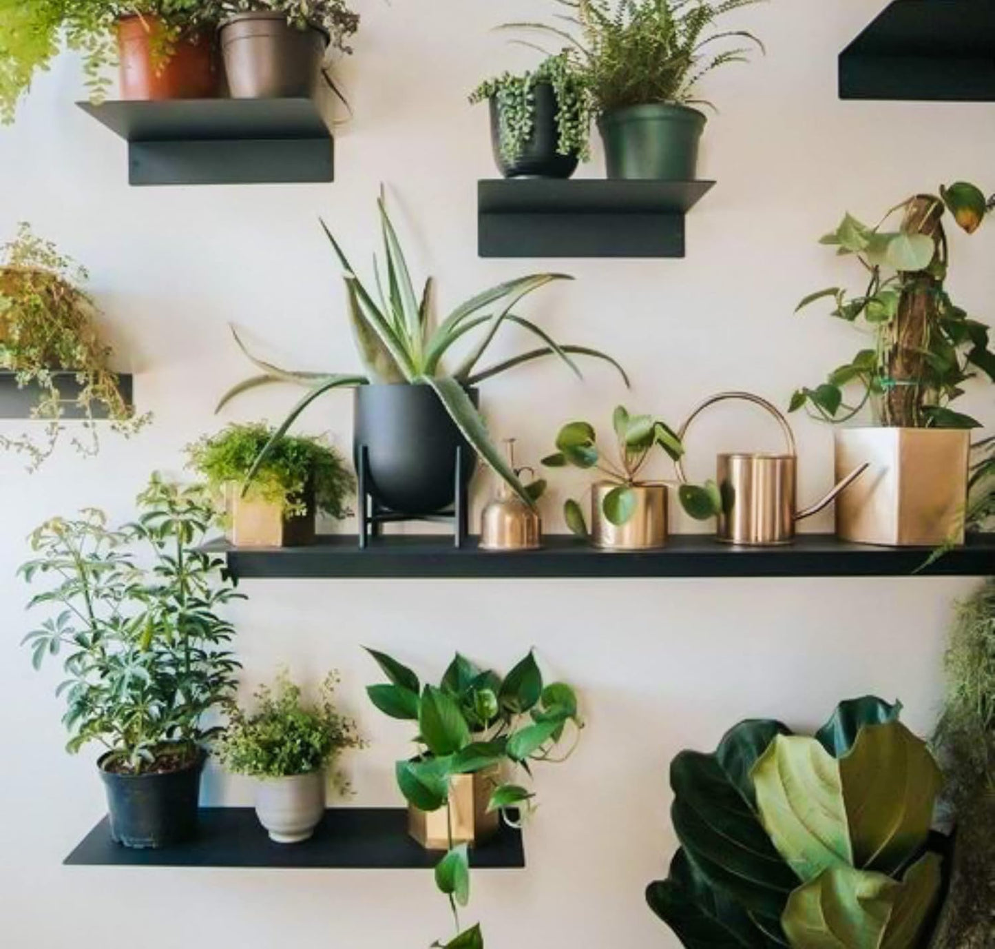 DIY CARTEL Linear Floating Shelf - Forged Raw Blackened Steel - Industrial Heavy Duty Metal Wall Mounted Modern Rustic Shelf - Made in The USA (36-inch x 8-inch)