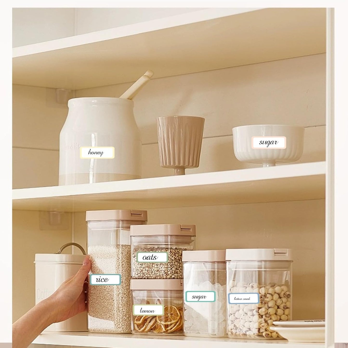 STARLIBOO Removable Labels, Removable Colored Labels Stickers, Self-Adhesive Rectangular Stickers Water/Oil/Tear Resistant for Food Containers/Classroom/Storage (8 Colors, 512 Labels)