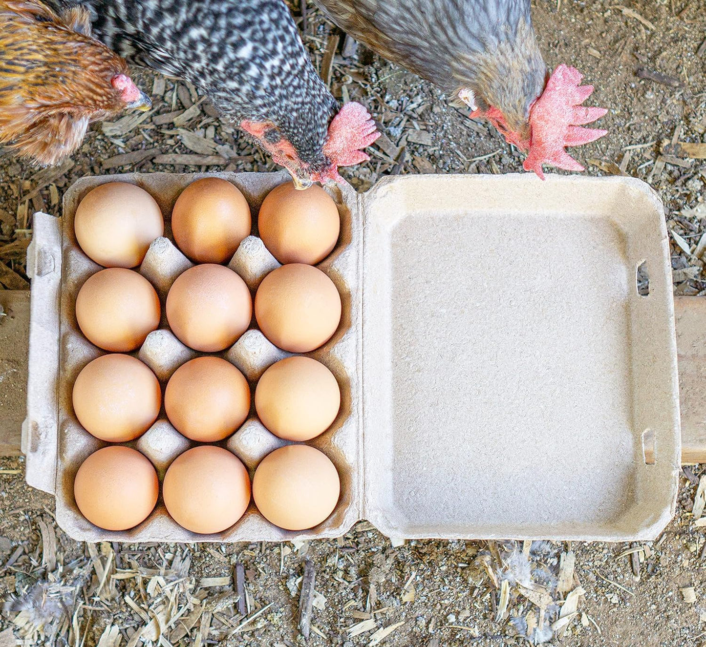 25 Pack Egg Cartons,3x4 Style Holds Chicken Egg Cartons Made from Recycled Cardboard