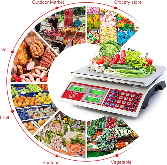 CAMRY Digital Price Computing Scale 66lb/30kg Commercial Produce Scale with Stainless Steel Platform and Green Backlight LCD Display for Meat, Fruit, Ideal for Deli, Farmers Markets, Restaurants