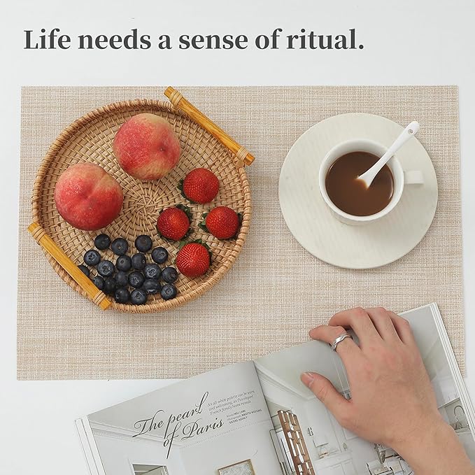 Leetaltree Beige Placemats Set of 24 - Heat Resistant Non-Slip Place mats for Dining Table, Washable Durable PVC Vinyl Woven Table Mats（Beige, 24）