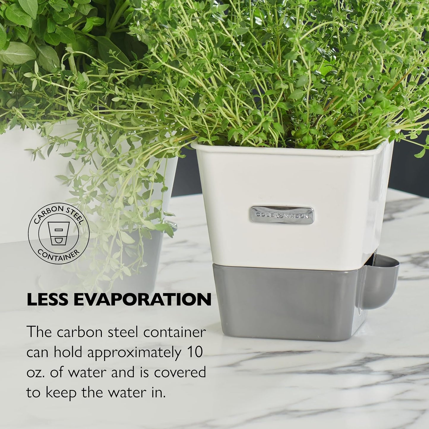 Cole & Mason Self-Water Herb Keeper - Potted Herb Saver with Hydro Pad & Pour Spout - Fresh Herb Keeper for Refrigerator - Herb Storage & Container