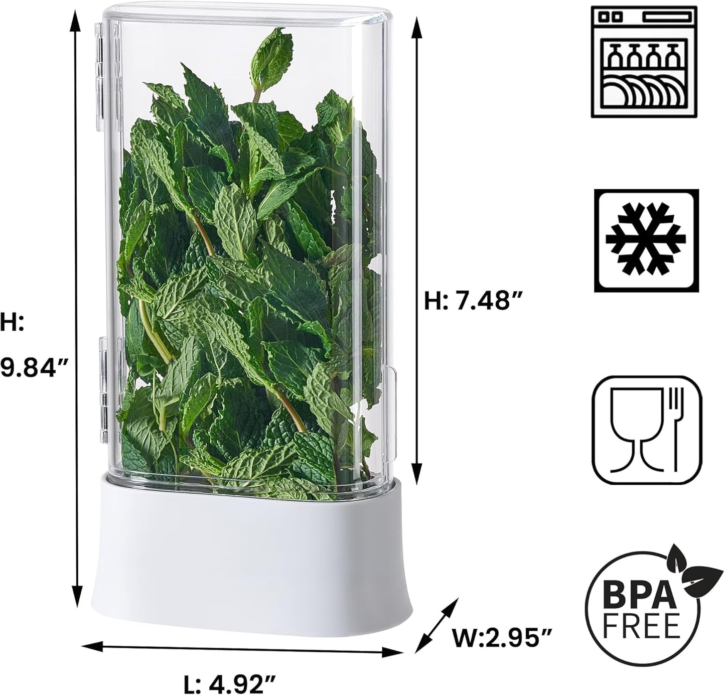 vacane Herb Keeper for Refrigerator, Fresh Herb Saver Herb Storage Containers, Cilantro Container for Fridge Asparagus Container, Dishwasher Safe-2 Pack
