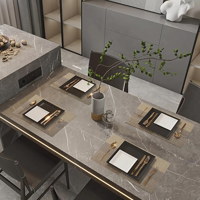 Champagne Modern Placemats Set of 8-Durable PVC Table placemats,Vinyl Woven Place Mats for Dining Table Heat Resistant Non-Slip Washable Indoor/Outdoor Table Mats 12 * 17 inch