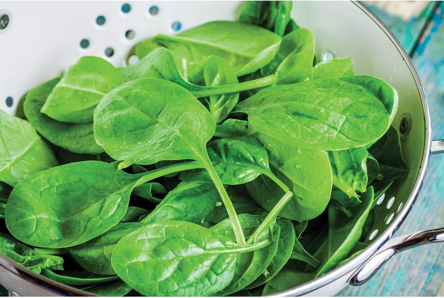 HIC Kitchen Pierced Colander, 18/8 Stainless Steel, 7.5-Inch Bowl, 2-Quart Capacity