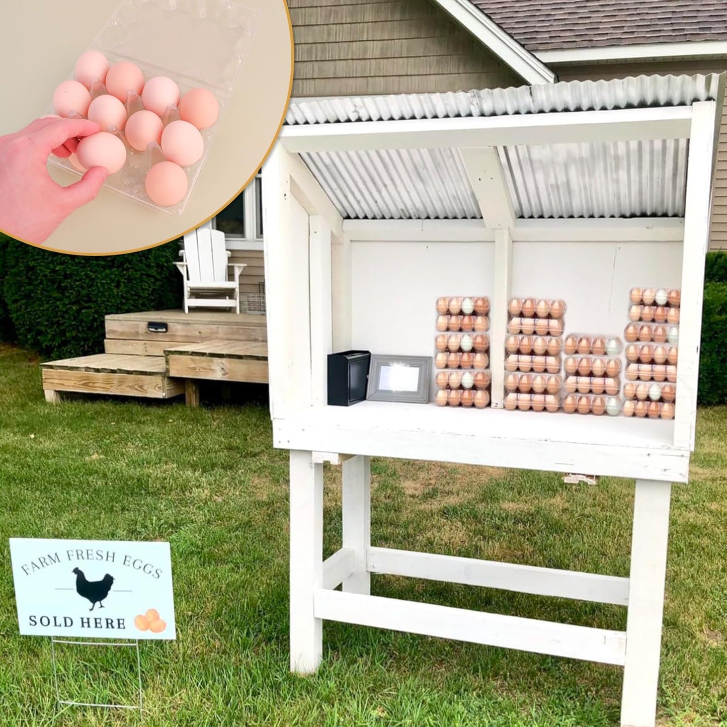 150 Pack Bulk Egg Cartons, Clear Plastic Chicken Egg Holders, Egg Tray Carton Holder for Home & Kitchen, Farm & Market Use, An Eco-Friendly Egg Storage Solution, 12 Grids