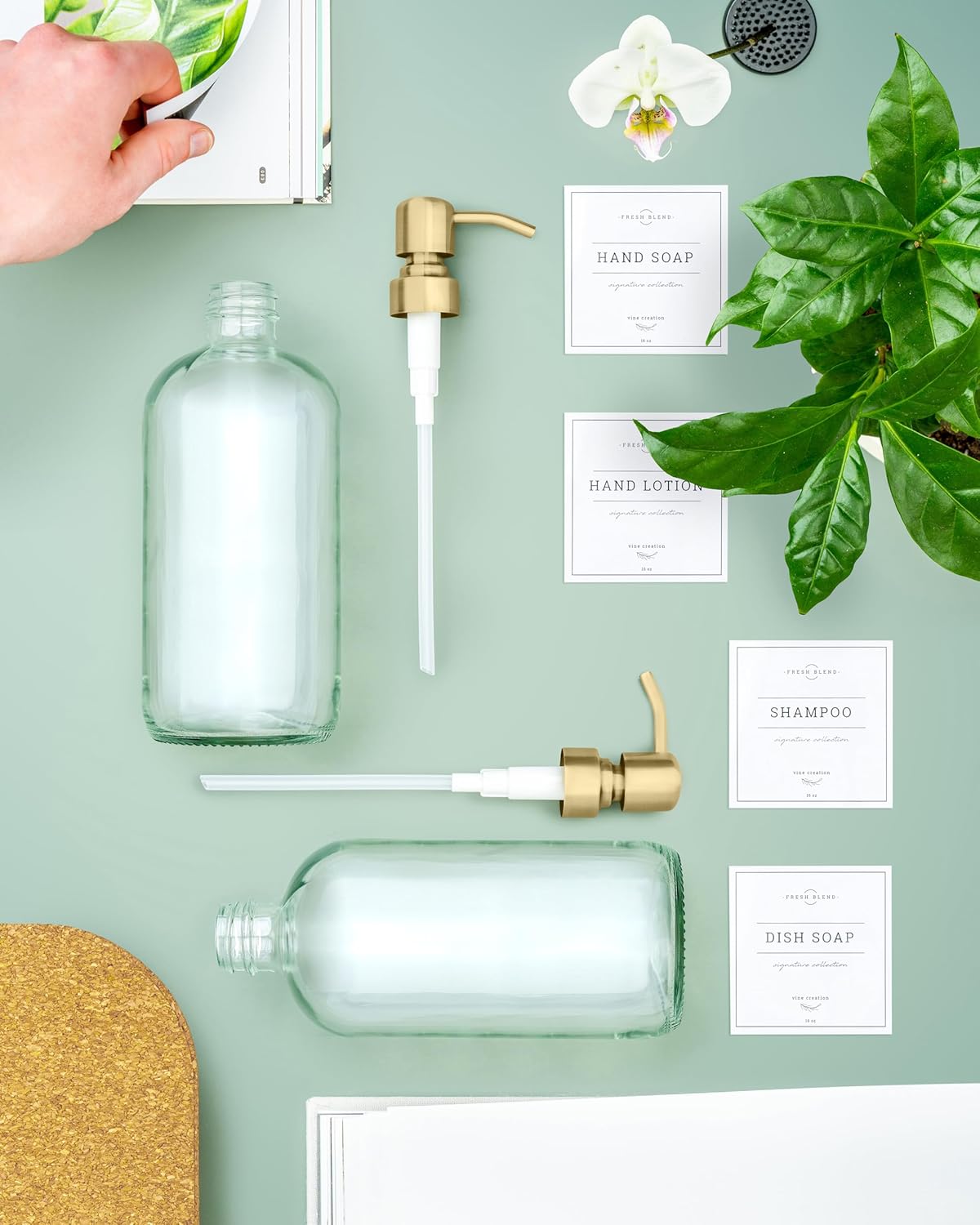 Vine Creations Clear Glass Soap Dispenser, 2 Pack Kitchen Soap Dispenser Set with Stainless Steel Pump, 16 oz Dish Soap and Hand Soap Dispensers for Bathroom with Waterproof Labels