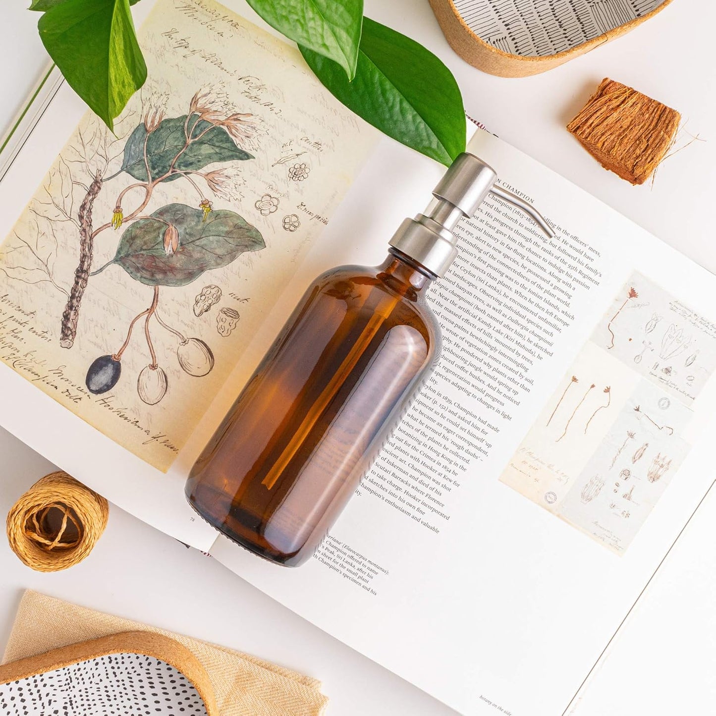 Vine Creations Amber Glass Soap Dispenser, 2 Pack Kitchen Soap Dispenser Set with Stainless Steel Pump, 16 oz Hand Soap or Dish Soap for Bathroom or Kitchen with Waterproof Labels