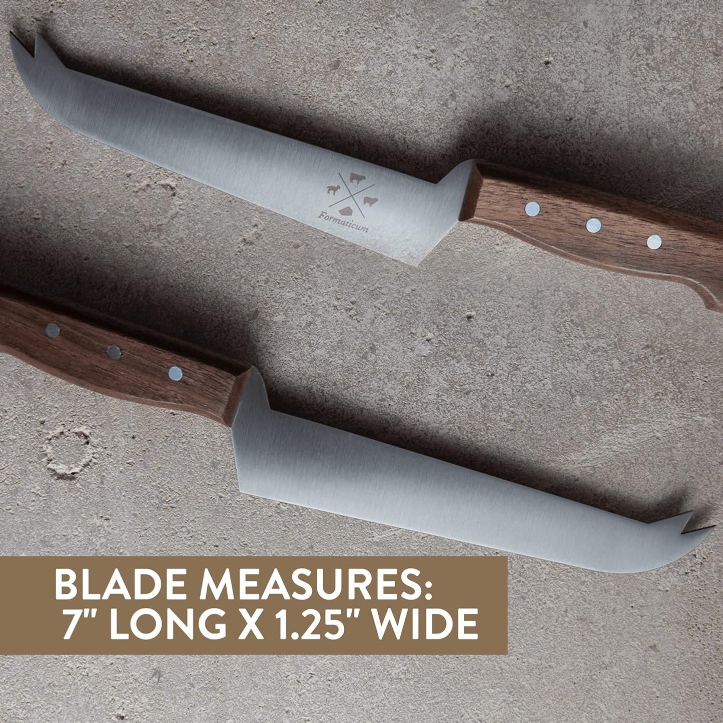 Formaticum - Professional Tasting Cheese Knife - 7" x 1.25" All Types of Cheese Slicer, Stainless Steel Blade, Fork Tip and Walnut Handle, Great Cheese Charcuterie Accessories - Handmade in Italy