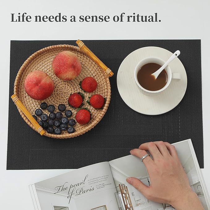 Leetaltree Black Frame Placemats Set of 8 - Heat Resistant Non-Slip Place mats for Dining Table, Washable Durable PVC Vinyl Woven Table Mats（Black Frame, 8）