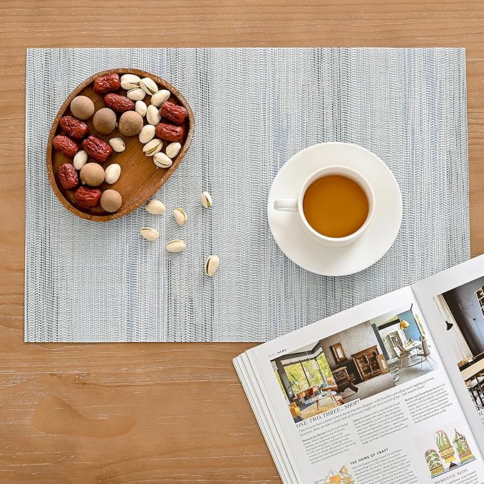 Leetaltree LightSteel Blue Placemats Set of 8 - Heat Resistant Non-Slip Place mats for Dining Table, Washable Durable PVC Vinyl Woven Table Mats（LightSteel Blue, 8）