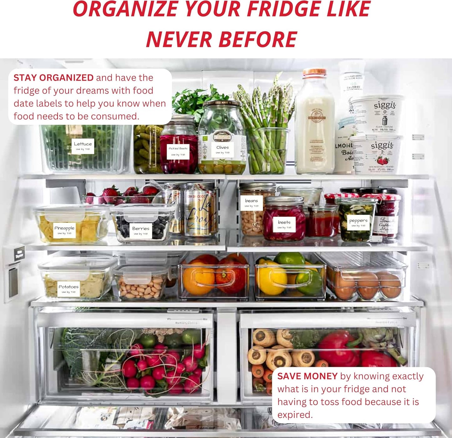 2x3 Dissolvable Food Labels, 1000 Label Stickers, Bottle Labels for Storage Bins, Sticker Labels for Food containers, (1000, Blank)