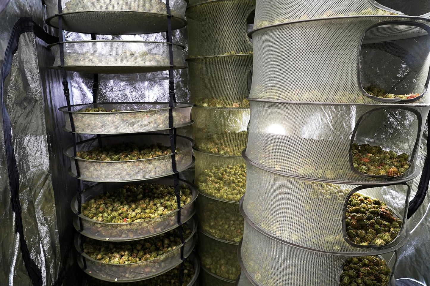 Grow1 2ft Drying Rack with Clip-On Levels Collapsible Mesh Herb and Flower Hanging Dryer with Removable Layers and Carrying Case