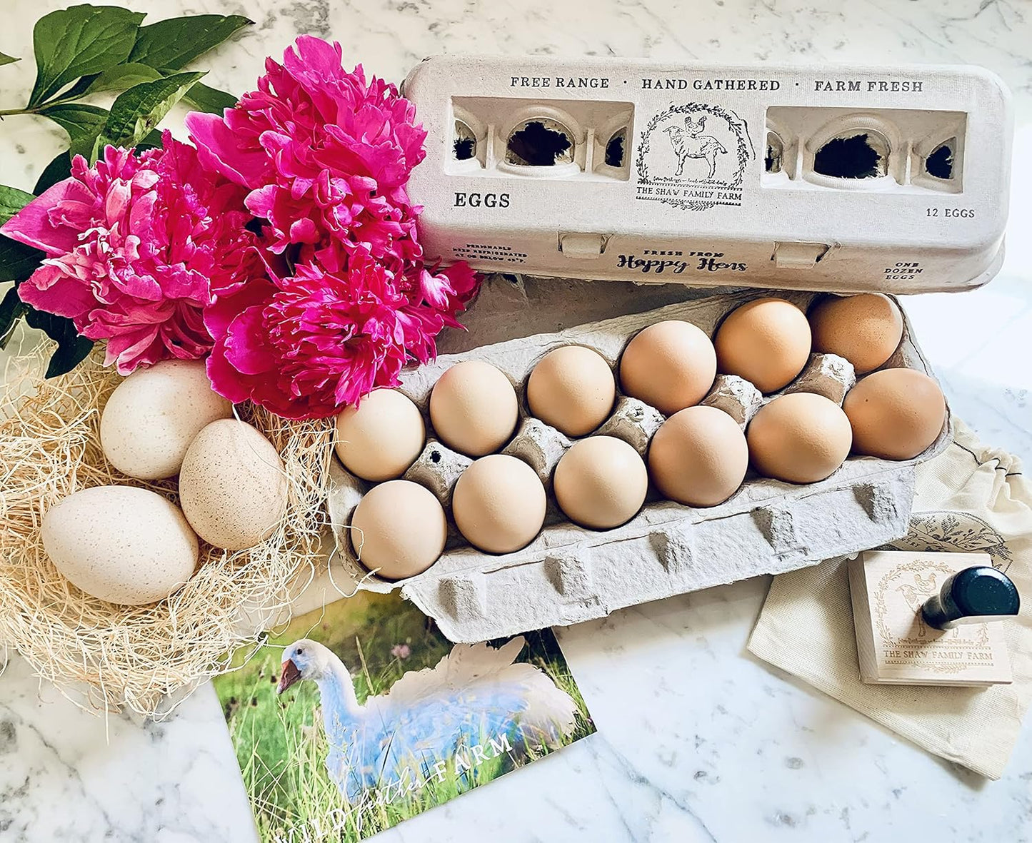Egg Cartons- Adorable Printed Design for Farm Fresh Eggs, Recycled Paper Cardboard, Sturdy & Reusable, Holds up to XL Chicken Eggs (Blank Stamping, 90)