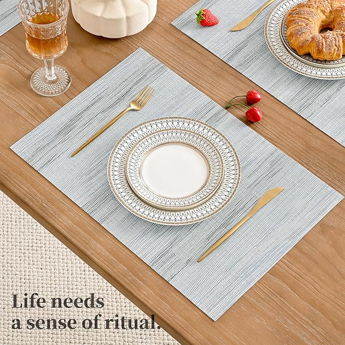 Leetaltree LightSteel Blue Placemats Set of 12 - Heat Resistant Non-Slip Place mats for Dining Table, Washable Durable PVC Vinyl Woven Table Mats（LightSteel Blue, 12）